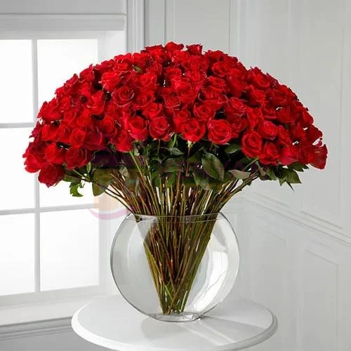 100 Red Roses kenyangifts.com