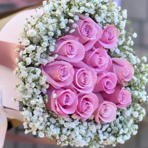 Pink Roses With White Gypsophila